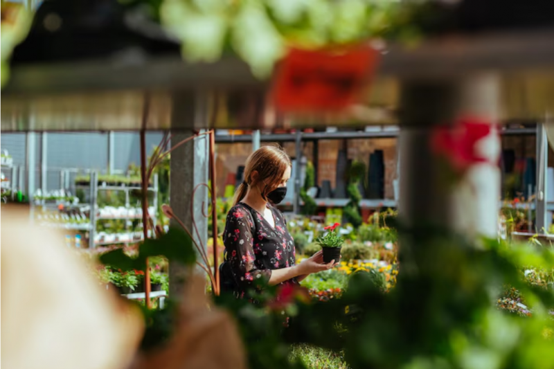Empresa de jardinagem transforma espaços verdes em oásis de beleza e tranquilidade
