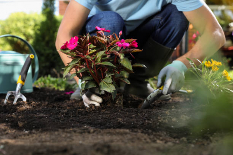 Serviço de Jardinagem e Paisagismo Itaim - Paisagismo Jardim Simples