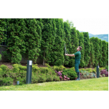 manutenção de jardim vertical preço Capão Bonito